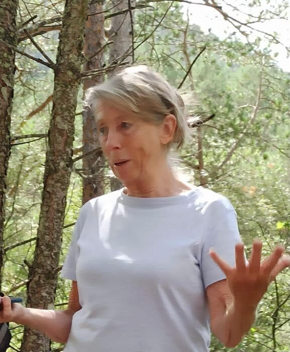 Mercè Viladomiu